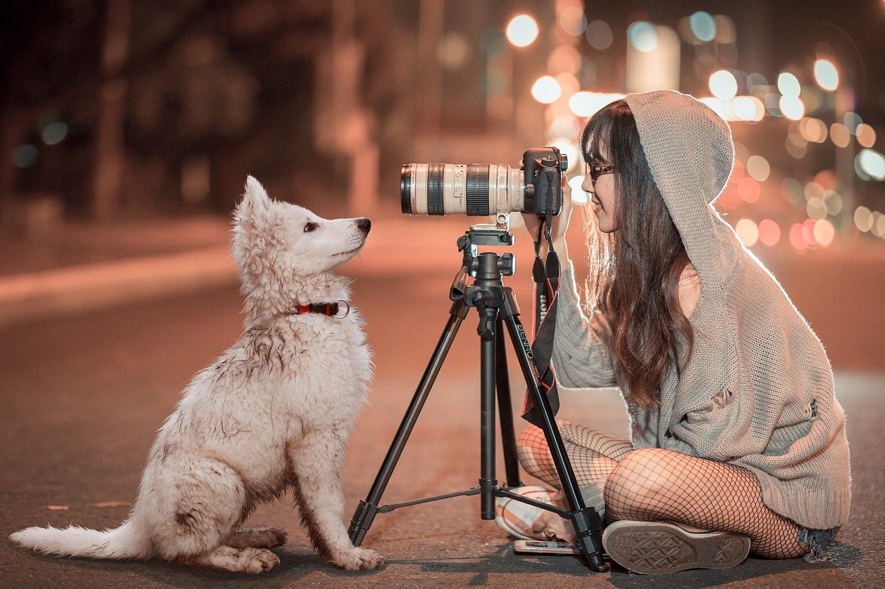 puppy, dog, pet-3688871.jpg